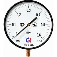 Манометр радиальный ТМ-810Р.00 Дк250мм Росма (арт.  29433)